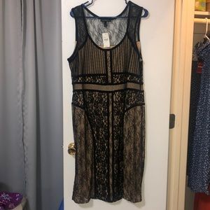 Lane Bryant Dress
